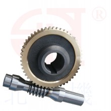 Worm gear motor series