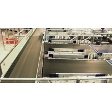 Conveyor and Processing Belts