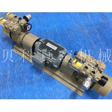 ZL80 P VB 03 Double pump