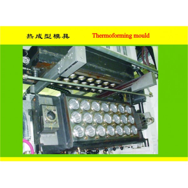 Thermoforming Mould