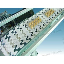 Flexible Chains Conveyor