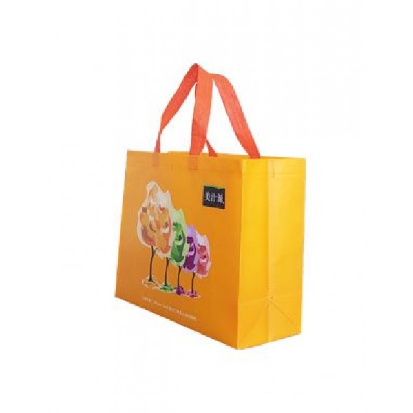 Non woven bag